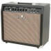 CG-30 Guitar Amplifier 30w