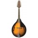 CTM28-TSB Traditional Mandolin Tobacco Sunburst