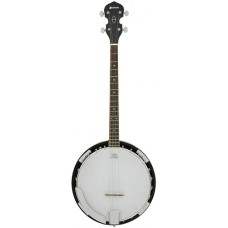 4-string tenor banjo