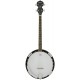 4-string tenor banjo