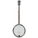 5-string G banjo