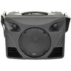 qtx Cassa Karaoke Portatile con Bluetooth e Microfoni Wireless DELTA-50