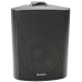 BC5V-B 100V 5.25 background speaker black