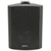 BP5V-B 100V 5.25 background speaker black