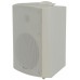 BP6V-W 100V 6.5 background speaker white