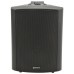 BP6V-B 100V 6.5 background speaker black